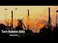 Ecology - Torre Hammon addio