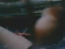 my hamster cam my hamster cam