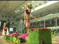 Vietnam Dragon & Lion Dance Show 5