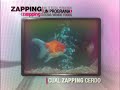 CualZappingCerdo XVI