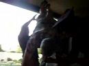 Mr. Bohls keg stand