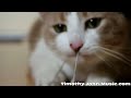 http://www.youtube.com/watch?v=eiA5w0WxQBY http://fb.me/P21Pf78s