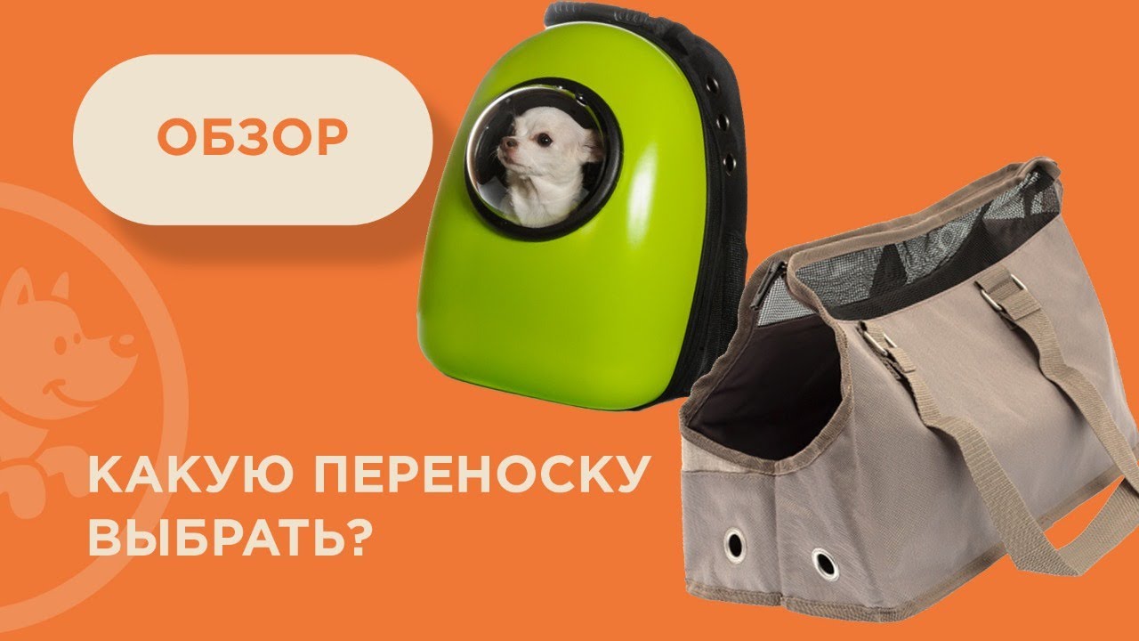 Обзор переносок для кошек и собак