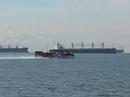 Hovercraft English Bay Vancouver Transit Hovercraft English Bay Vancouver Transit