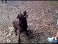 This is a video that the user has chosen on youtube