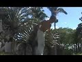 video de katay santos del centro cultural senzala de capoeira de venezuela imagenes de entrenamientos de acrobacia y rodas.