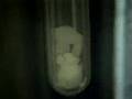 CO2 Triple Point