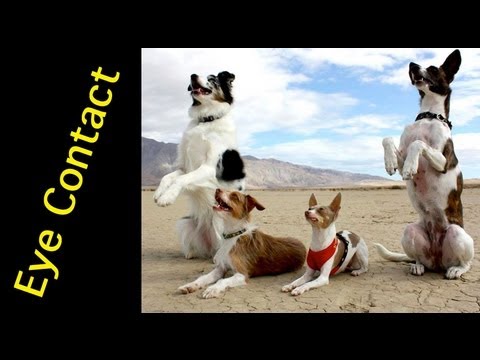 how to train attention