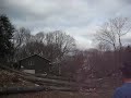 Tree Dropping 2