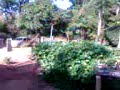 valao3