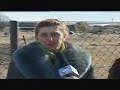 Watch 'Պատարագ Գառնառիչ գյուղում'