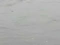 River nith flooded River nith flooded