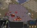 starcraft brood war movie about nV.Redy