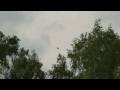 YAK-52 Aerobatic Team Kubinka