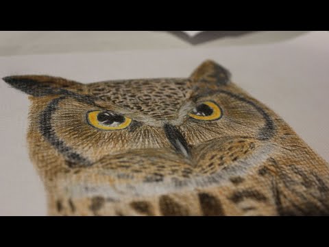 video-linktoworks-Trying to draw a Great Horned Owl (It kind of sucks)