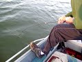 Mark S Battles enormous BAT RAY IN HUMBOLDT BAY PT. 1 Mark S Battles enormous BAT RAY IN HUMBOLDT BAY PT. 1