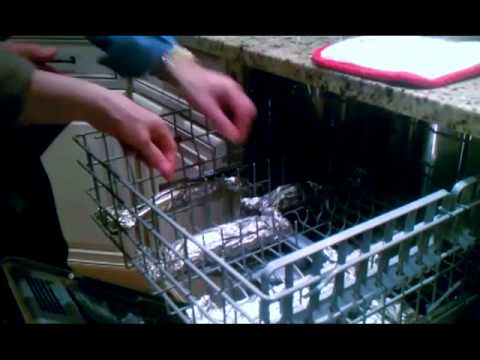how to cook a salmon in a dishwasher
