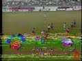 gol tigana