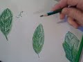 Colored Pencil Tutorial Colored Pencil Tutorial