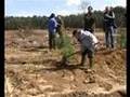 PLANTEURS VOLONTAIRES clip