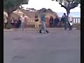 Il cane calciatore di Piombino