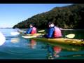 Why Study Abroad?