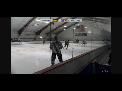 Gianni Annicchiarico drew penalty with commentary , turn around shot, USPHL Elite playoffs Chicago Cougars 2025