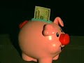 How Do I Pay For The Vet Bill?