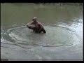 Now thats a fish