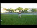 Streetstunts/Tricking vigo