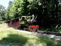 Steam Train