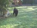 videos de Baby Bella.MOV