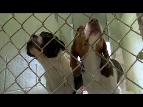 how to provide citation