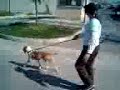paseo con el robby paseo con el robby