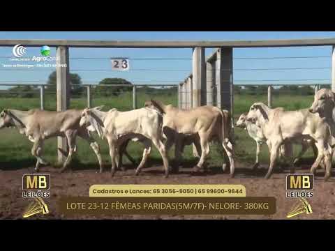 524� LEIL�O VIRTUAL MB LEIL�ES
