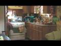  - MovieZen Video