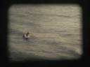 Lake Michigan Beach 1979.mov Lake Michigan Beach 1979.mov