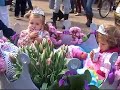 Adest Musica Sassenheim - Flowers Parade - 2008