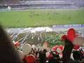 TMV 2008