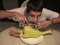 Avian flu video