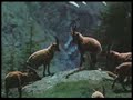 dersim manzaralar?(ovac?k,gözeler...) dersim manzaralar?(ovac?k,gözeler...)