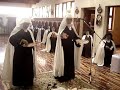 profesion perpetua 2
