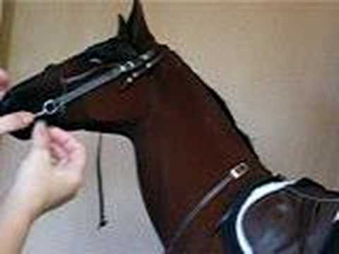 how to fasten a flash noseband