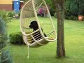 my dog likes to swing