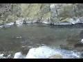 070804-Yamame Fishing.avi