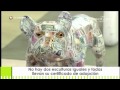 Un bulldog hecho arte