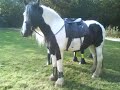 A new beggining with GYPSY