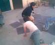 videos grasioso de un pendejo