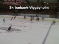 Ski Icehawks Vs Viggbyholm Resport Trophy 2008