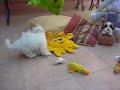 lis jugando con sus 4 meses con la rana